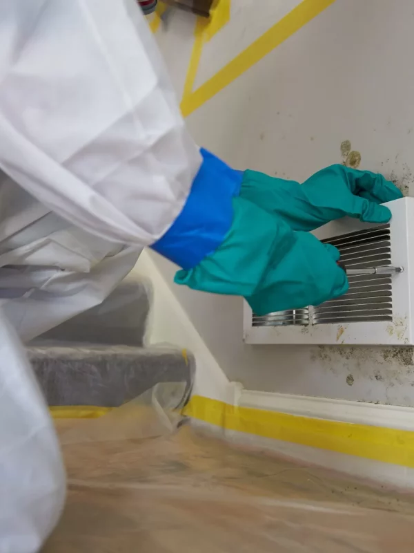 Mold-Removal-Services-for-Sunnyvale-CA-scaled